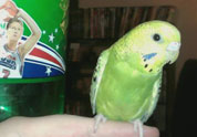 Cool Pet Photo