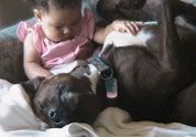 Cool Pet Photo