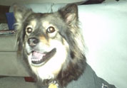 Cool Pet Photo