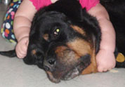 Cool Pet Photo