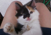 Cool Pet Photo