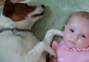 Cool Pet Photo