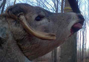 Your Rack Photo