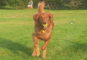 Cool Pet Photo