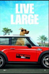 _Marmaduke