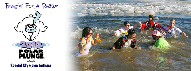 Polar Plunge image