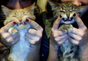 Cool Pet Photo