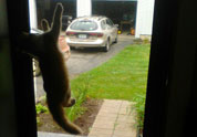 Cool Pet Photo
