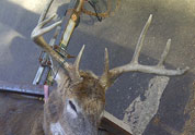 Your Rack Photo