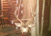Your Rack Photo