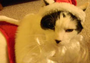 Cool Pet Photo