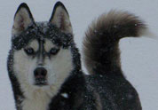 Cool Pet Photo