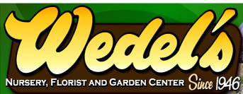 Wedels Logo