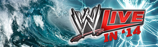 WWE Live 2014 Banner