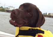 Cool Pet Photo