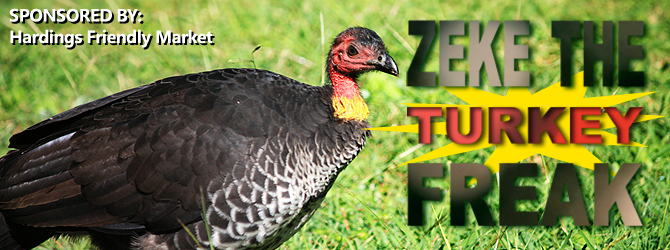Zeke the Turkey Freak Banner