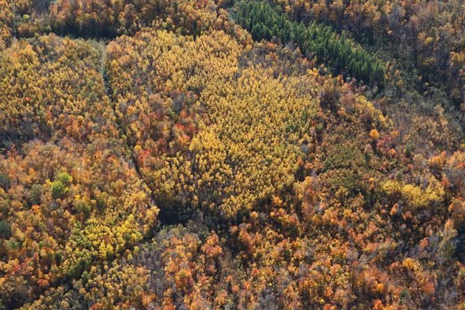 photography that show minnesota lakes country specifically itasca state