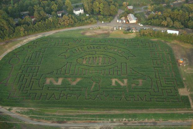 a new jersey farm operator has created a maze in