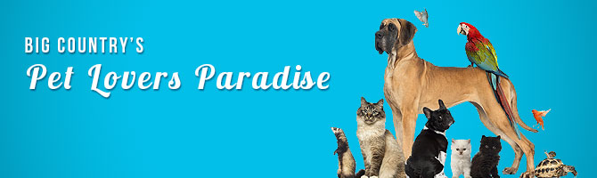 Big Country's Pet Lover's Paradise